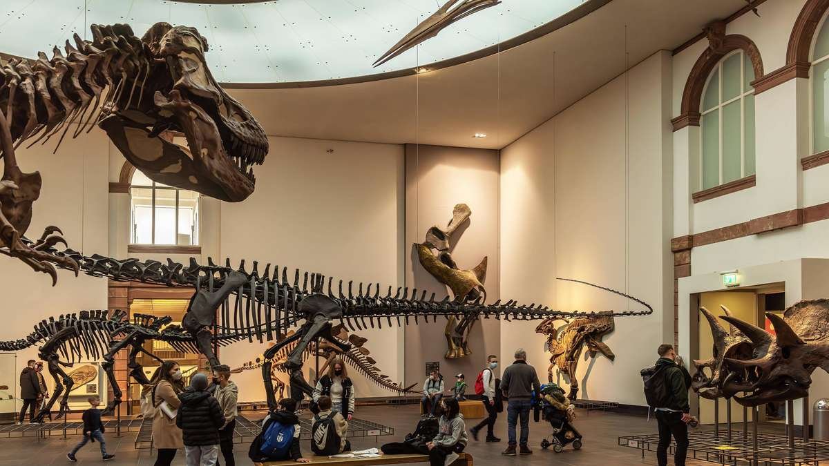 Familienfreundliche Museen in Frankfurt entdecken
