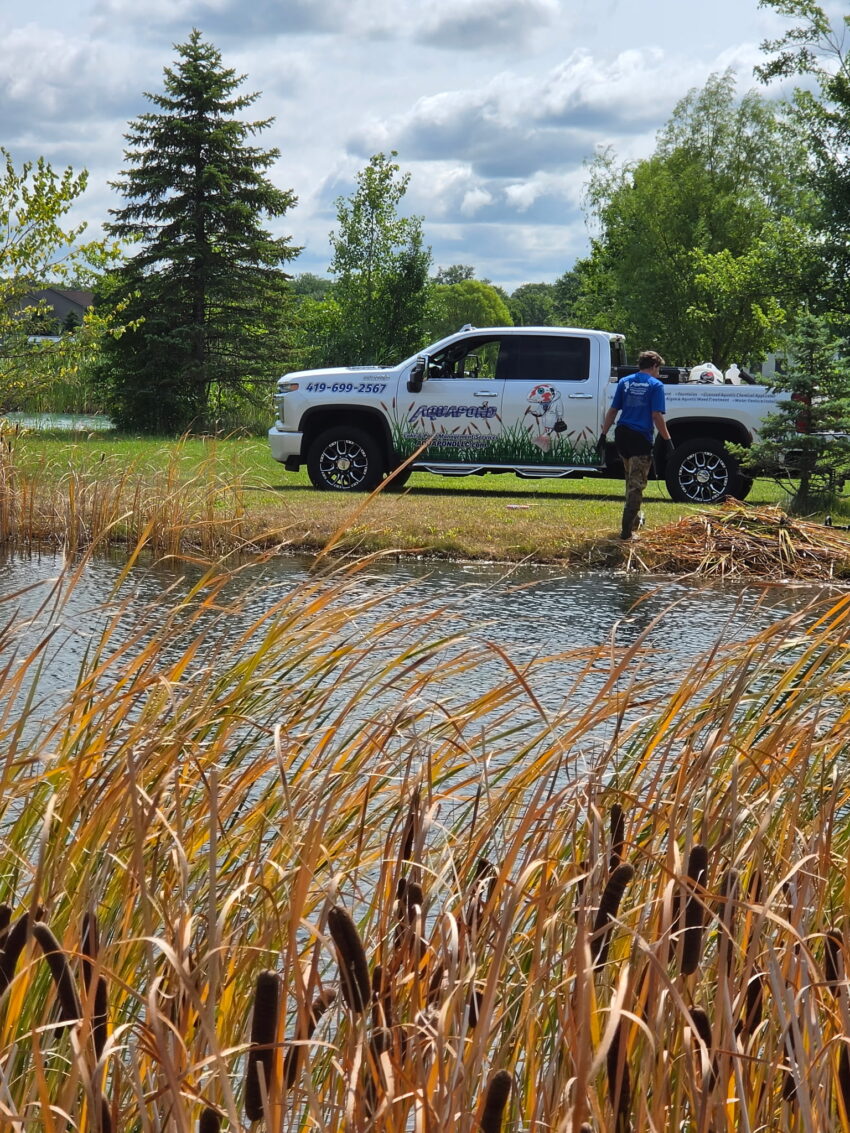 The 5 best pond cleaning services in Ingolstadt – removing algae and maintaining water quality